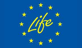Előzetes információ a LIFE civil szervezetek számára megjelenő 2020-as pályázati felhívásáról az Európai Zöld Megállapodáshoz kapcsolódóan
